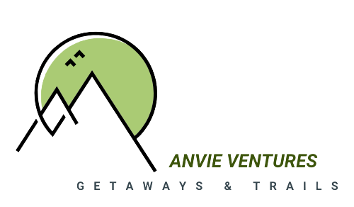 Anvie Ventures