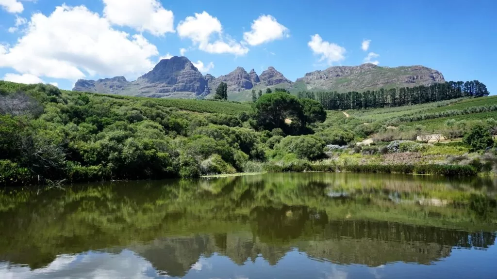 bonniedale
