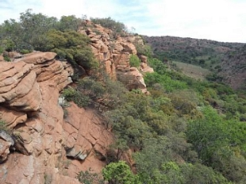 magalies