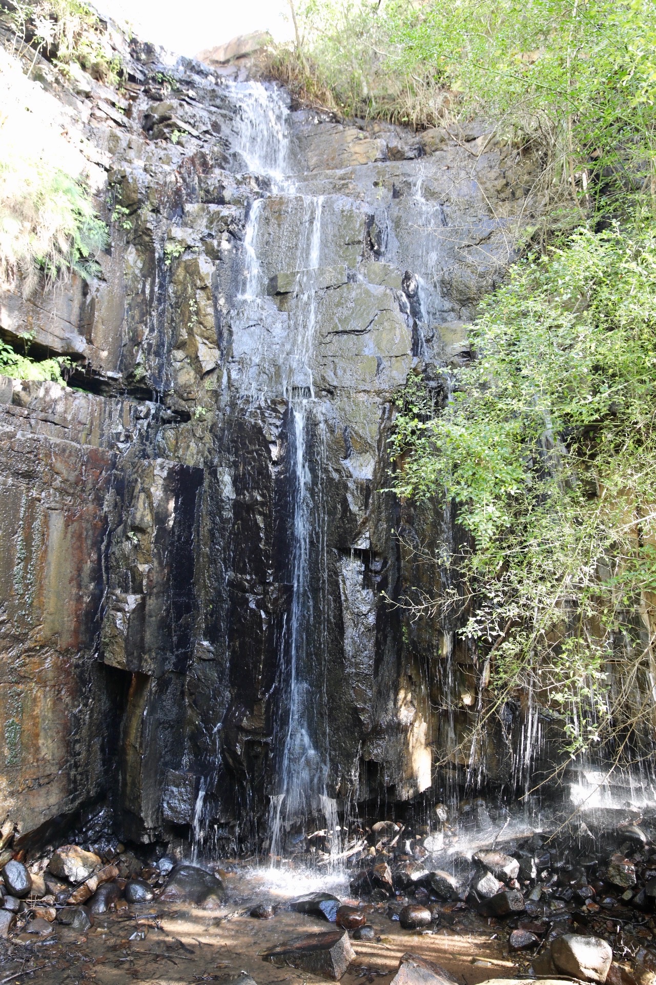 HIKING TRAIL